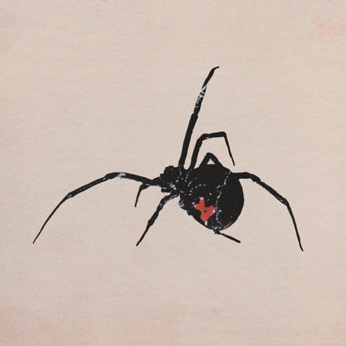 Album cover art for "NMP" by Midwife