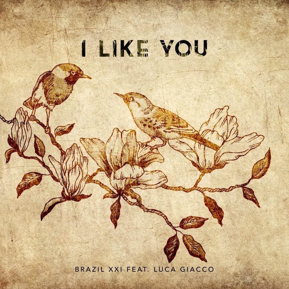 I Like You by Brazil xxi