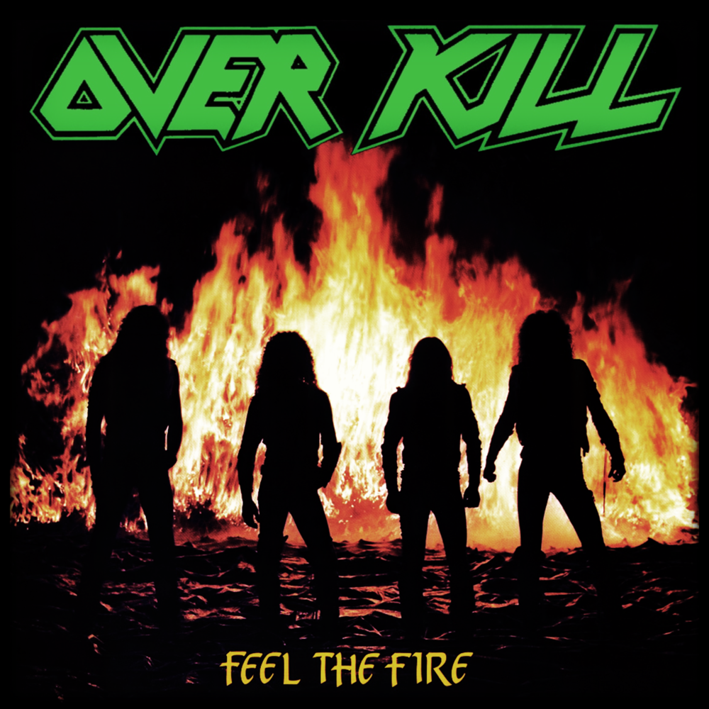 Cover image for Feel the Fire