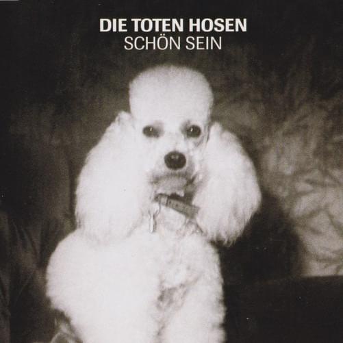 Cover image for Schön sein - Single