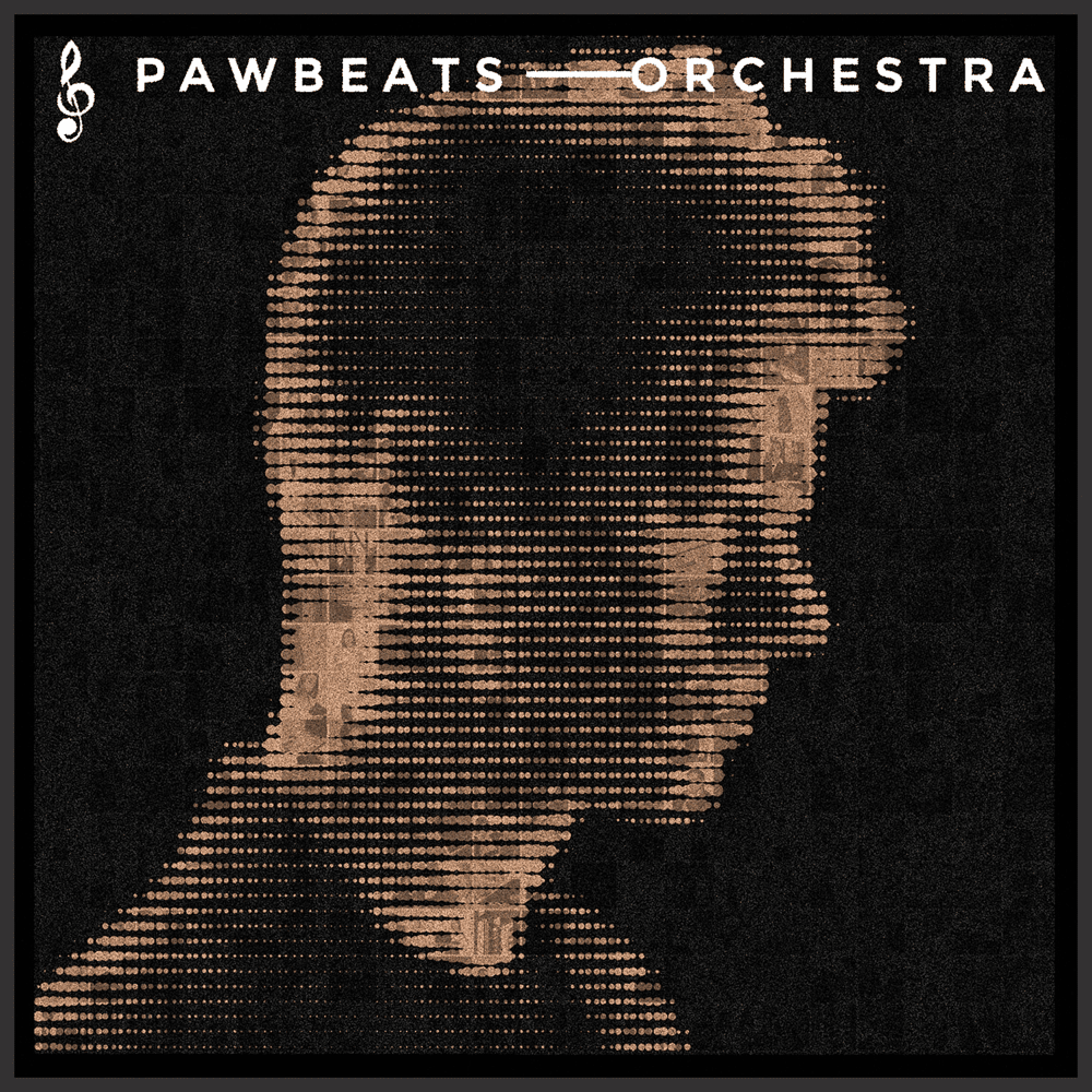 Cover image for Orchestra