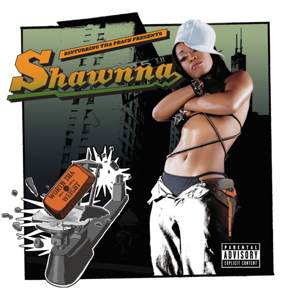 Shake That Shit by Shawnna