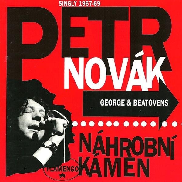 Cover image for Náhrobní kámen