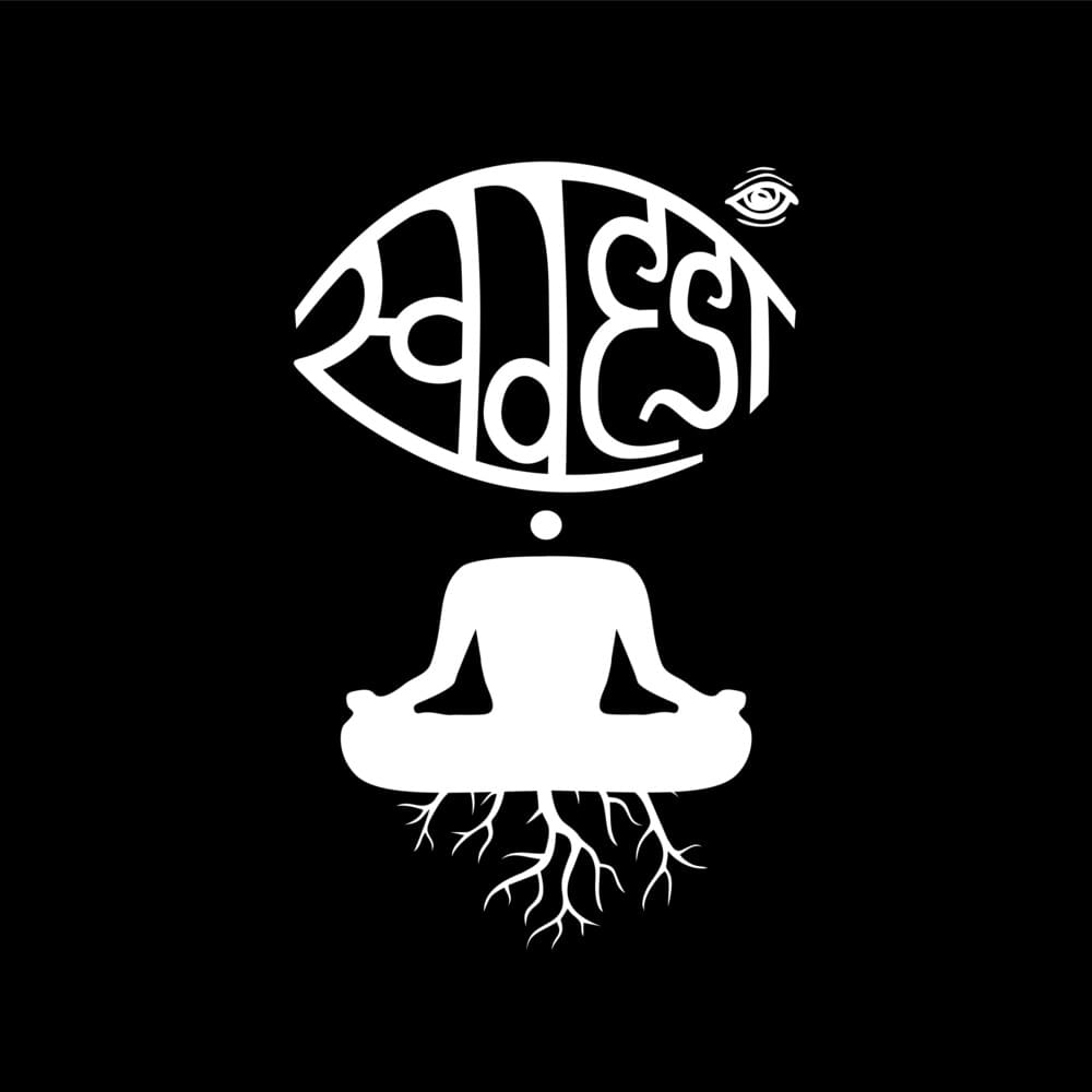 Cover image for Swadesi