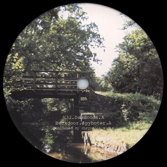 Album cover art for "PWSteal.Ldpinch.D" by Aphex Twin