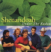 Album cover art for "If Bubba Can Dance (I Can Too)" by Shenandoah