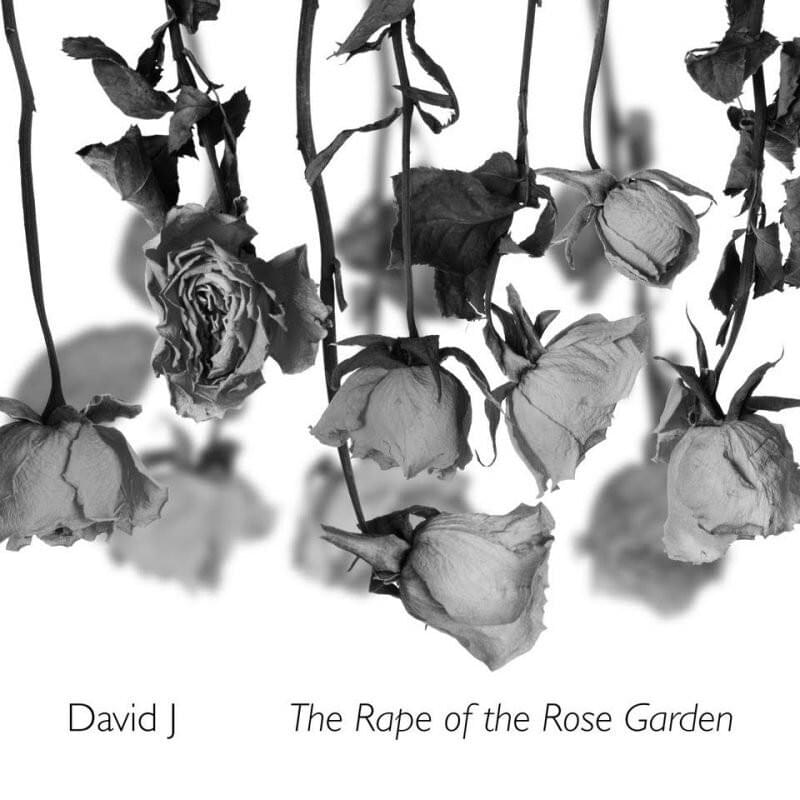 Cover image for The Rape of The Rose Garden