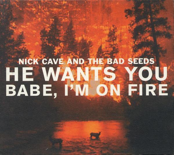 Album cover art for "He Wants You" by Nick Cave & The Bad Seeds