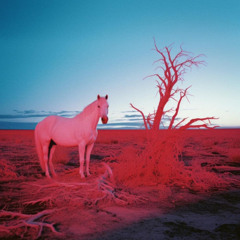 Cover image for L O W B L O W
