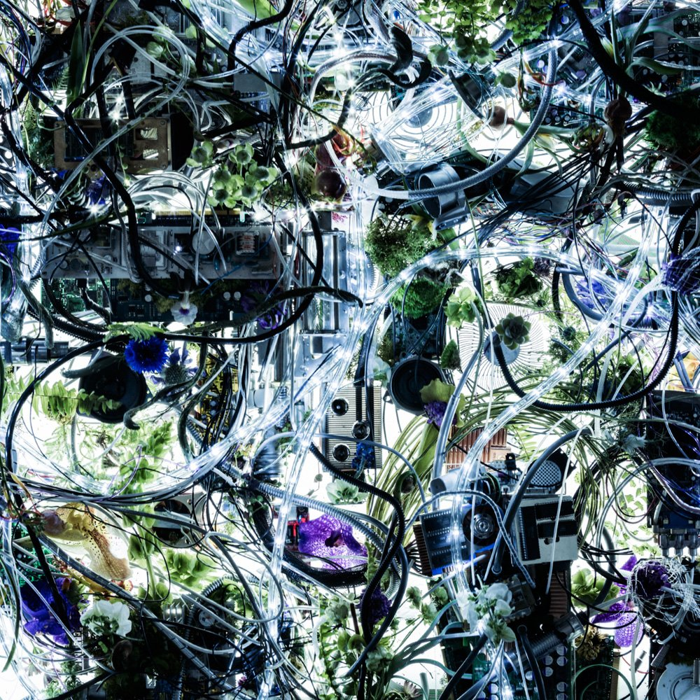 Album cover art for "Through My Blood (AM)" by Aimer
