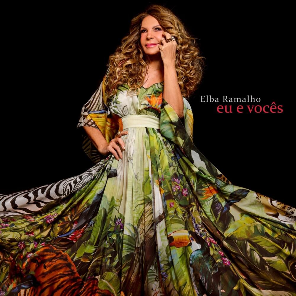 Cover image for Eu e Vocês