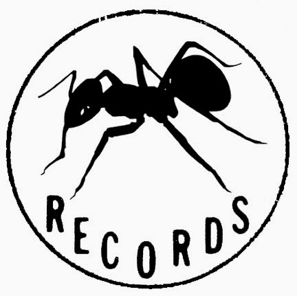 Cover image for Anticon