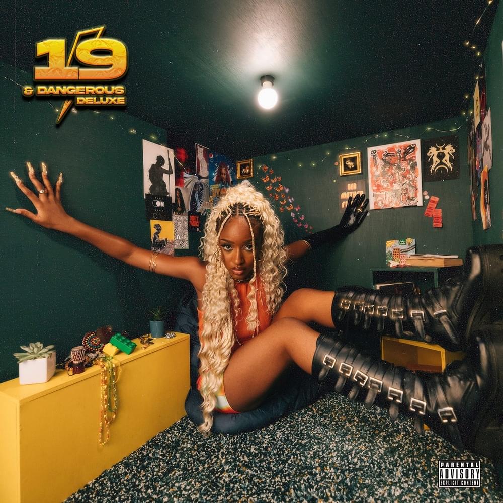 Cover image for 19 & Dangerous (Deluxe)