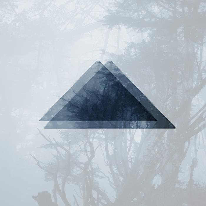 Album cover art for "The Wild" by Anadel