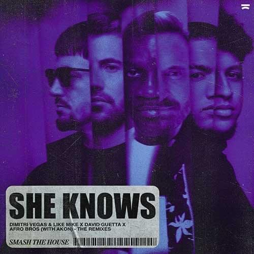 Cover image for She Knows (feat. Akon) [The Remixes]