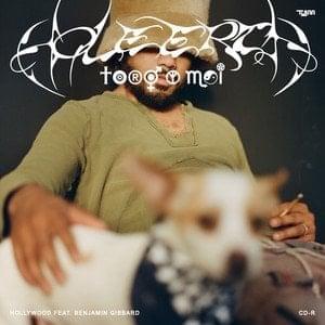 Album cover art for "Hollywood" by Toro y Moi