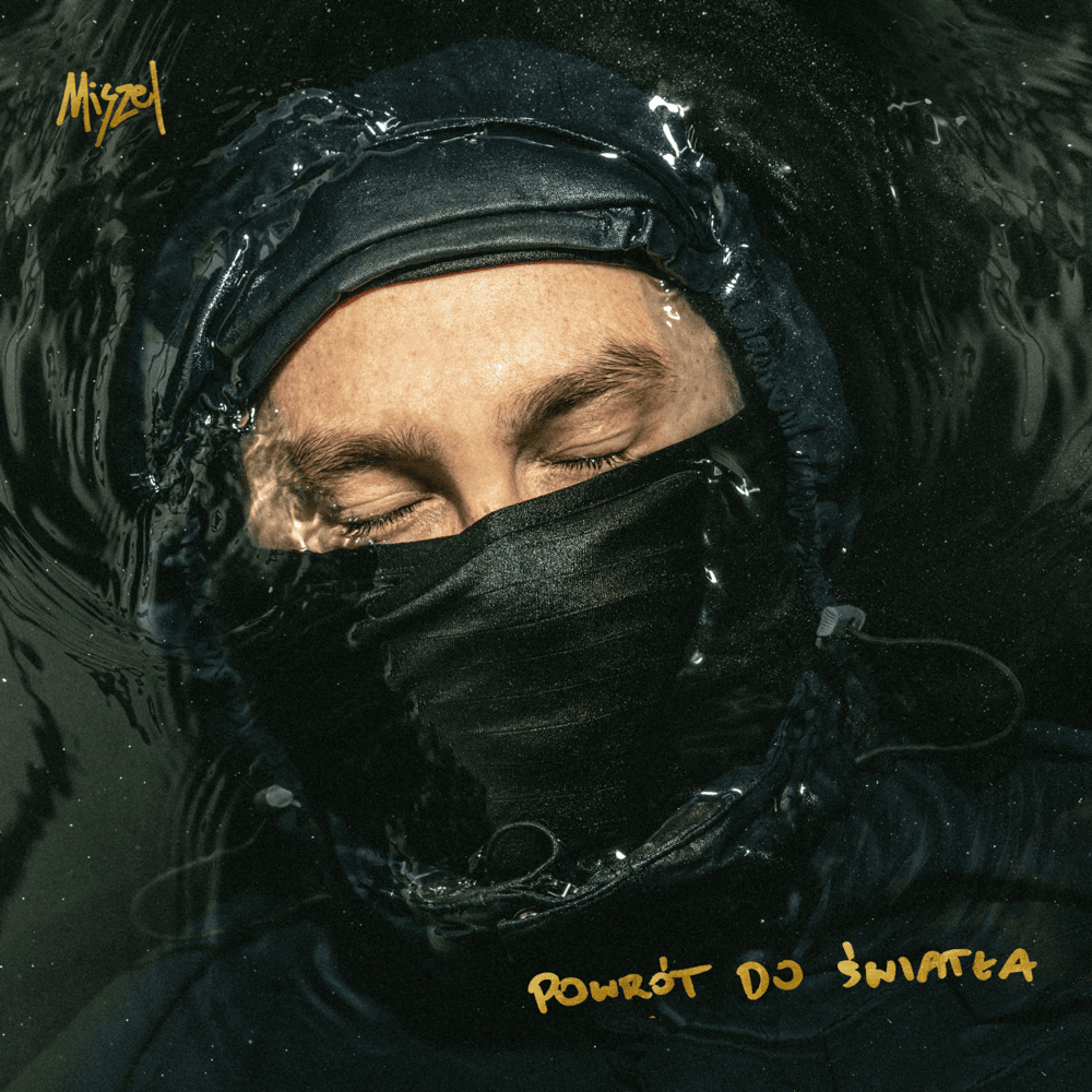Cover image for Powrót do światła (Deluxe)