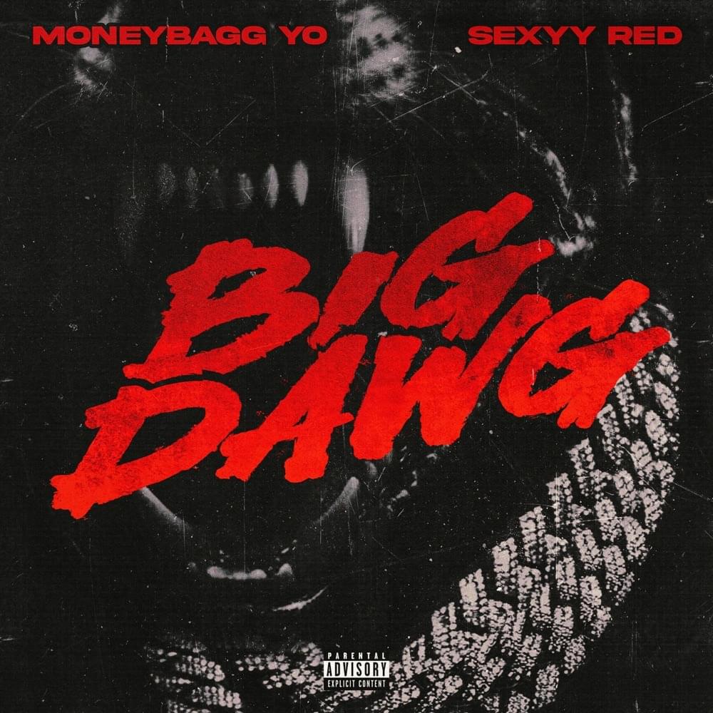 Album cover art for "Big Dawg" by Moneybagg Yo