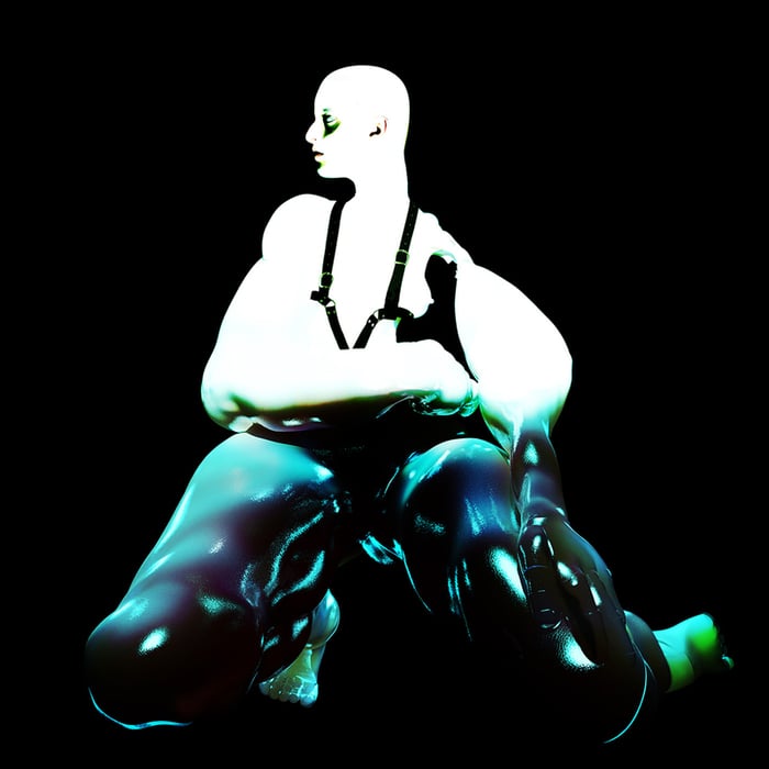 Album cover art for "Thievery" by Arca