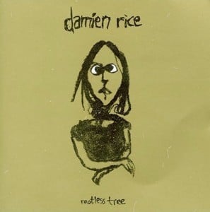 Album cover art for "Rootless Tree" by Damien Rice