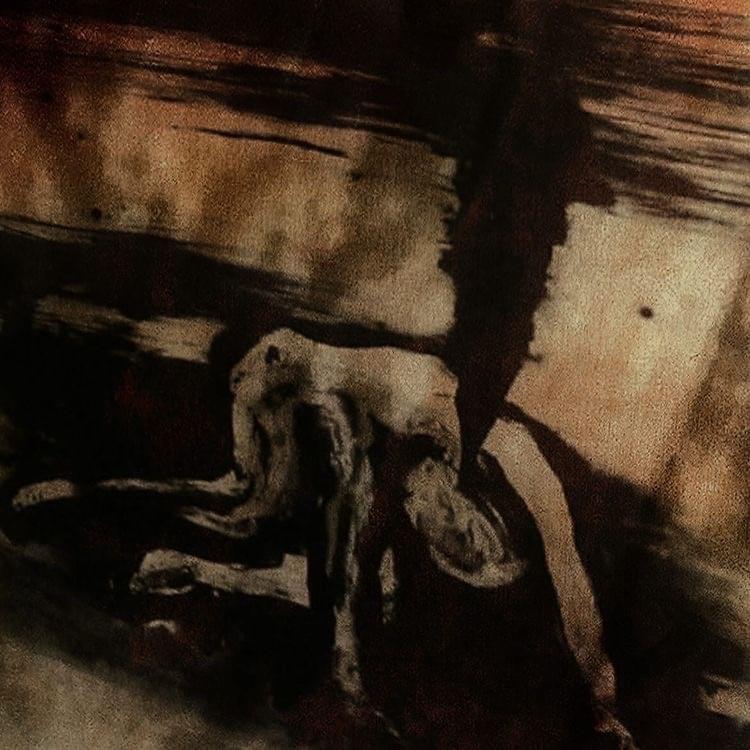 Album cover art for "‎substance d" by ​kill ebola