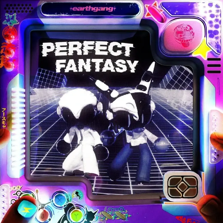 Cover image for PERFECT FANTASY