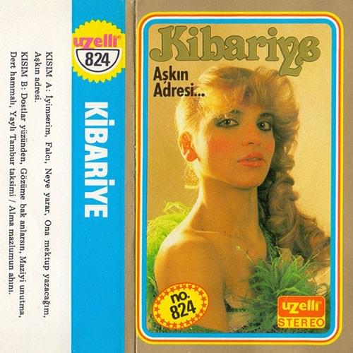 Cover image for Aşkın Adresi [Uzelli Basım]