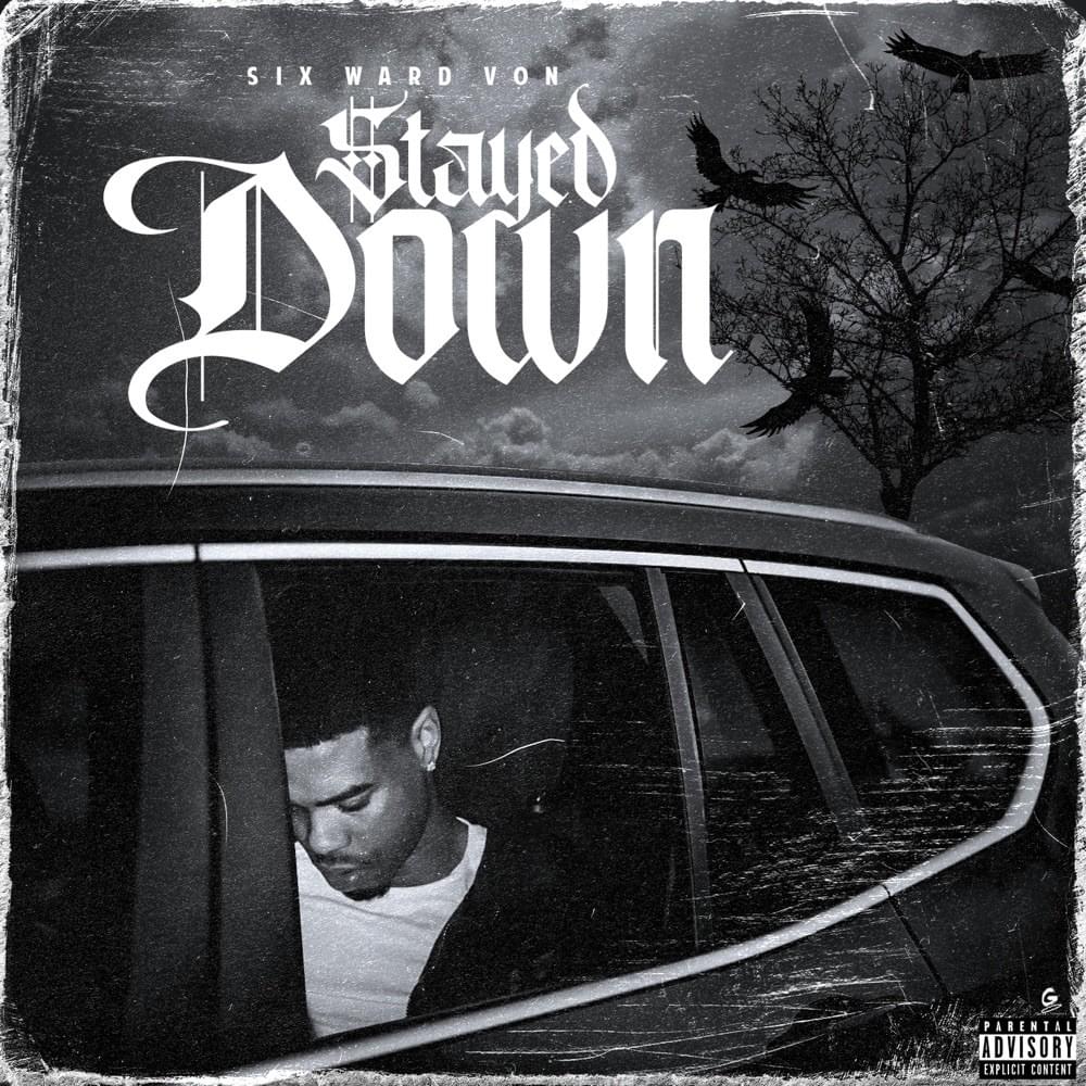 Cover image for Stayed Down