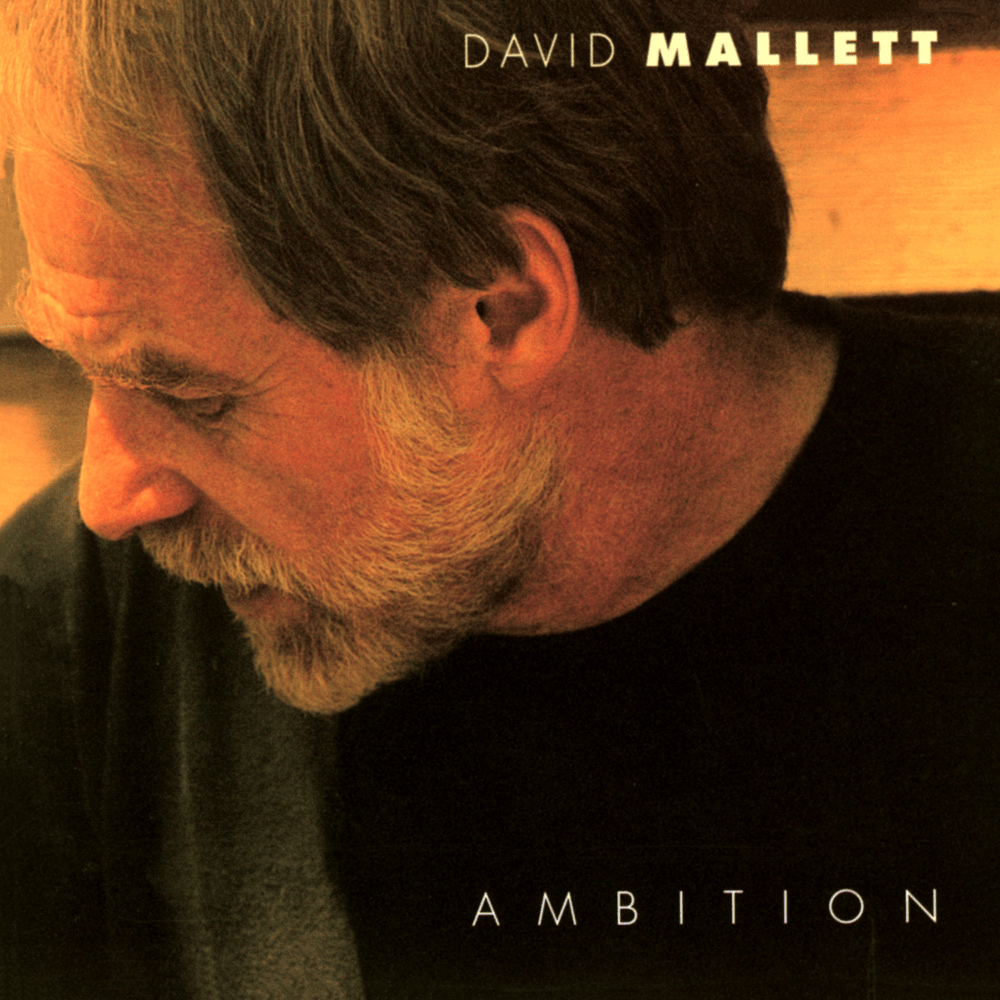 Cover image for Ambition