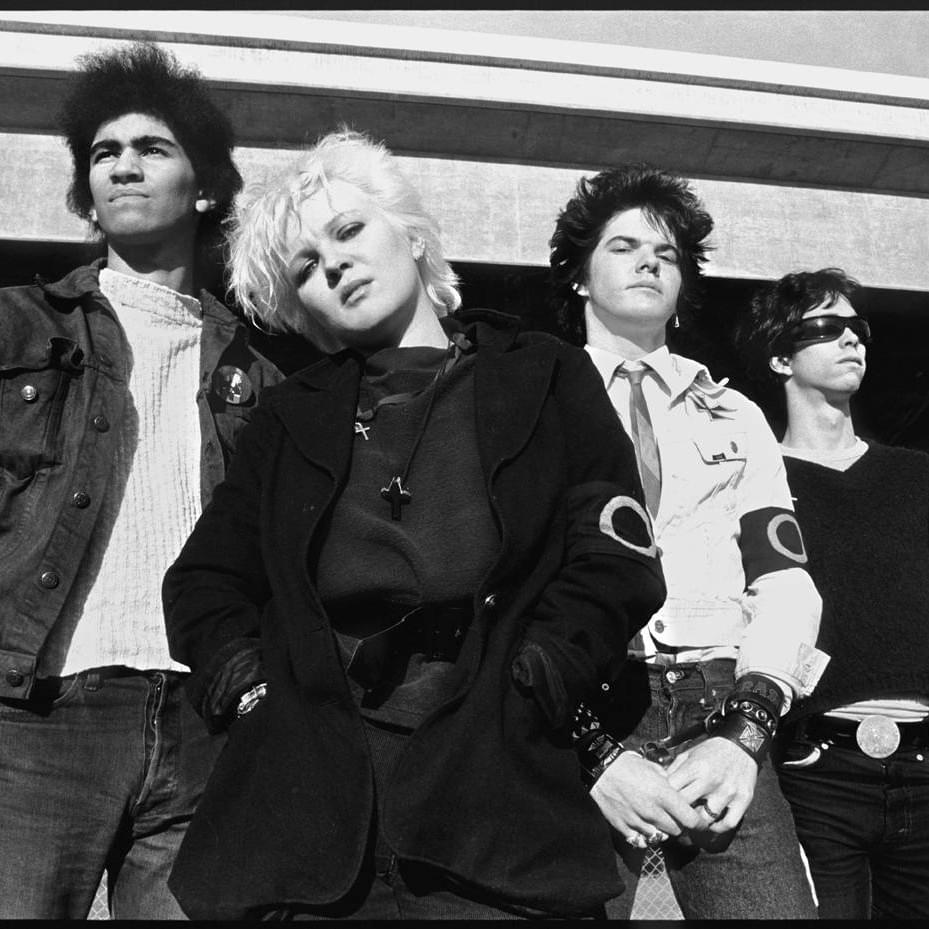 Photo of Germs