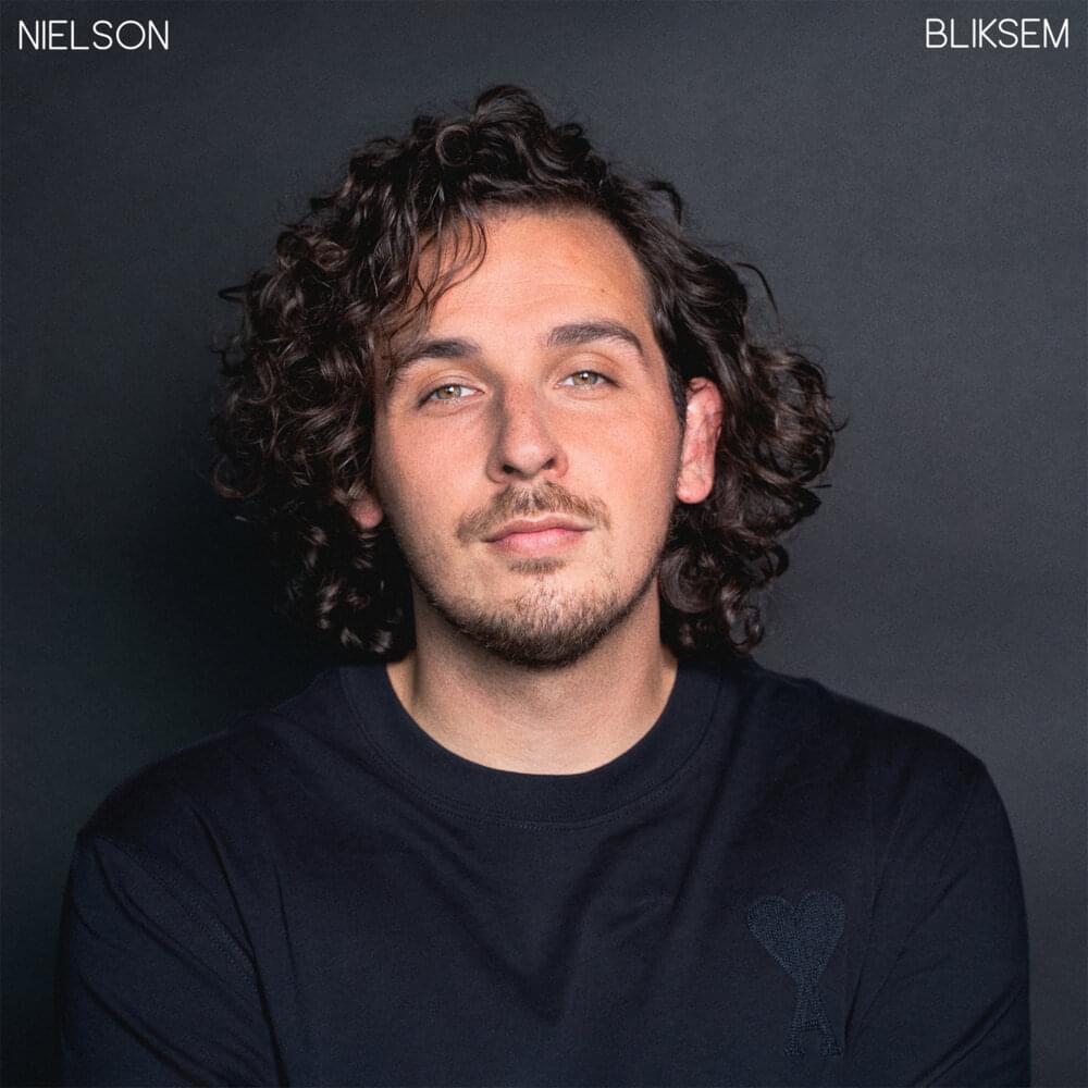 Album cover art for "Bliksem" by Nielson