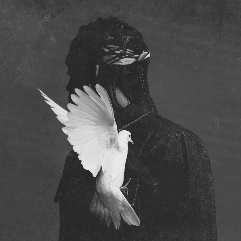 Album cover art for "Got ’Em Covered" by Pusha T & Ab-Liva