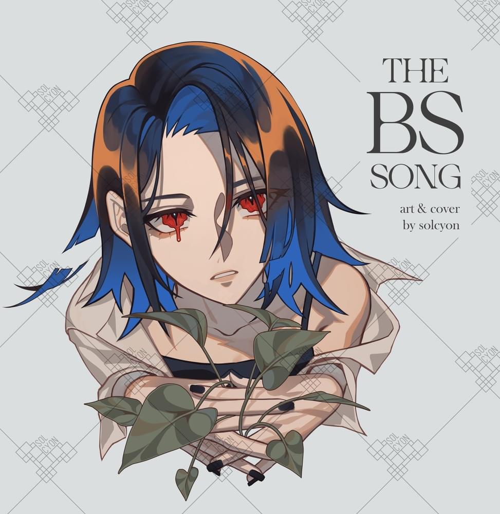 Album cover art for "The BS Song COVER 【Solcyon】" by Solcyon