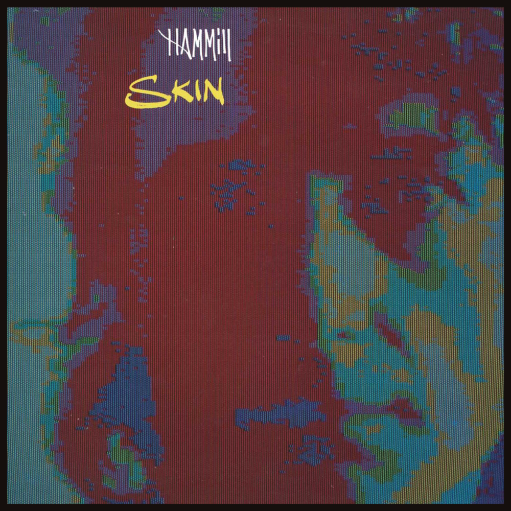 Cover image for Skin