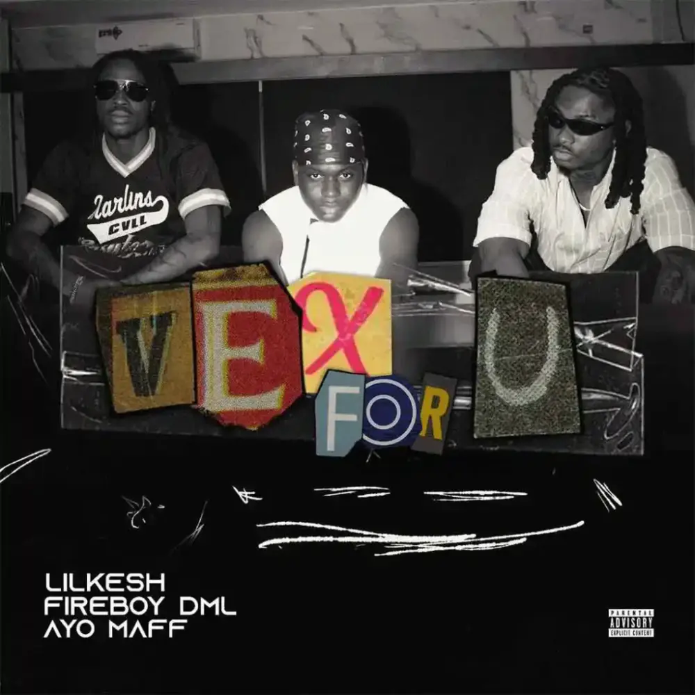 Vex For U by Lil Kesh