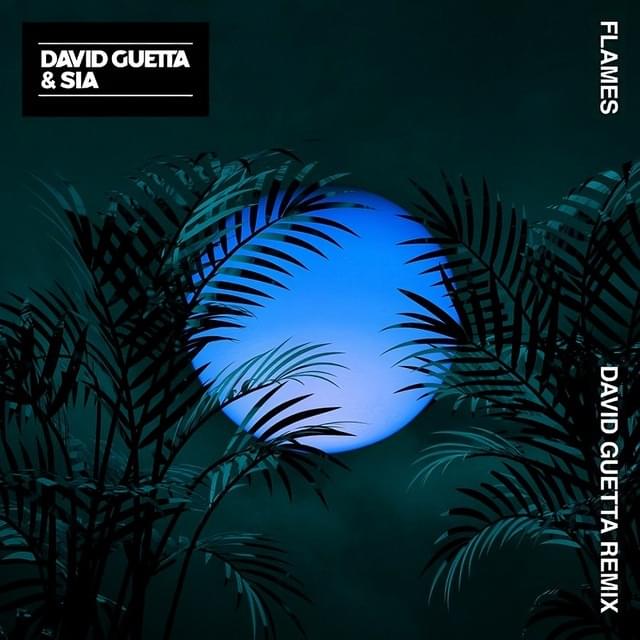 Album cover art for "Flames (David Guetta Remix)" by David Guetta