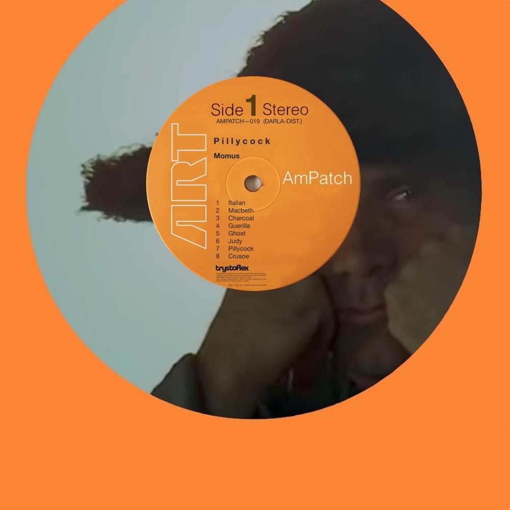 Cover image for Pillycock