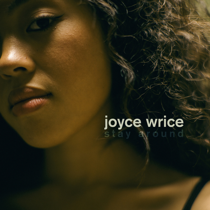 Cover image for Stay Around
