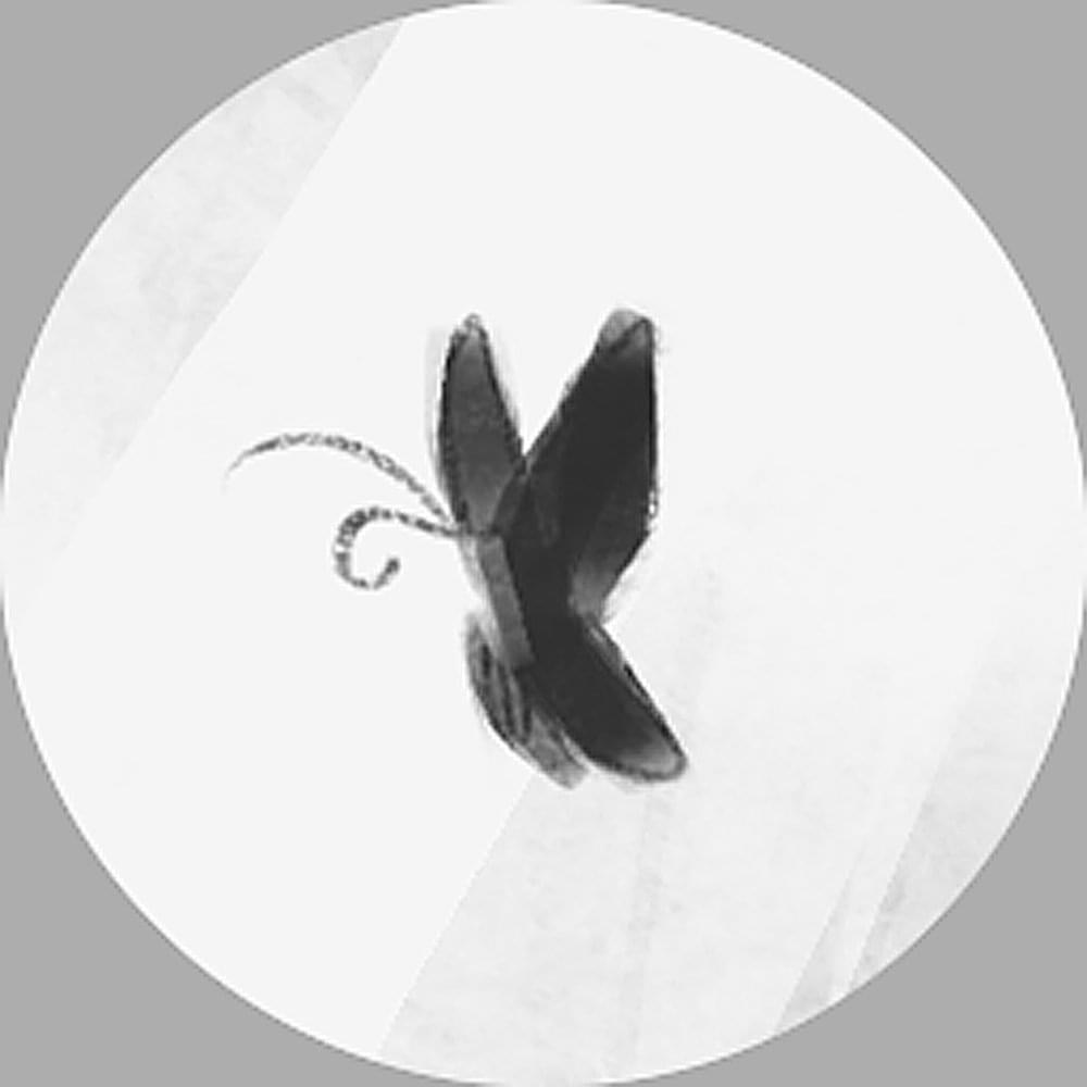 Album cover art for "The Butterfly" by Yponeko