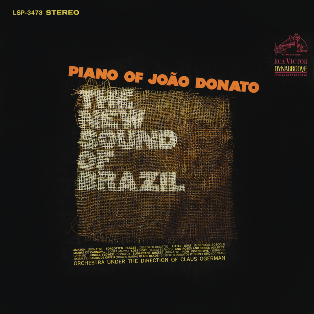 Forgotten Places (Coisas Distantes) by João Donato